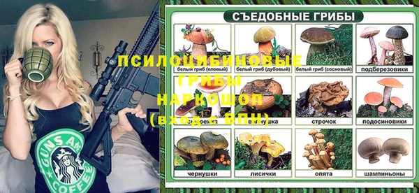 Альфа ПВП Аркадак