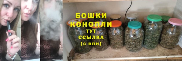 эйфоретик Арсеньев