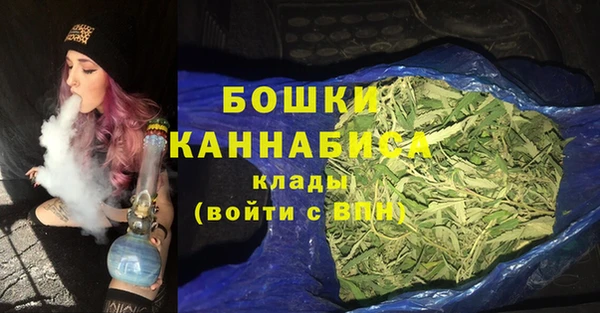 Альфа ПВП Аркадак