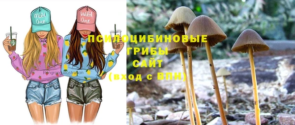 эйфоретик Арсеньев