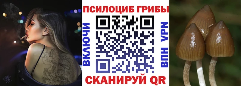 где можно купить Всеволожск kraken как войти Псилоцибиновые грибы Magic Shrooms
