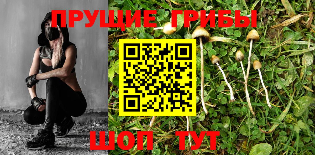 Галлюциногенные грибы ЛСД  Вход с VPN  Всеволожск 