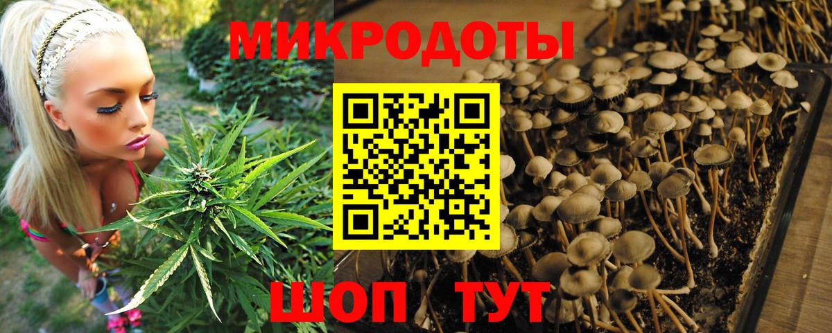 Псилоцибиновые грибы ЛСД Всеволожск