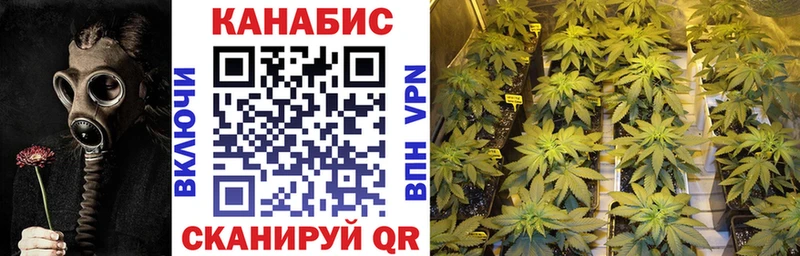 Бошки Шишки MAZAR  Всеволожск 